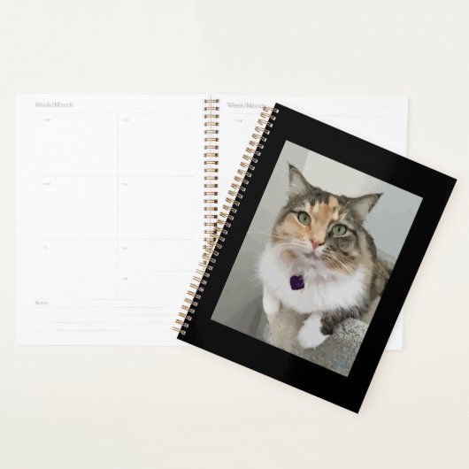 De geschilderde Calico Queen Planner (Display)