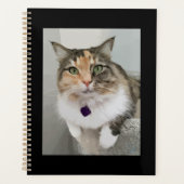 De geschilderde Calico Queen Planner (Voorkant)