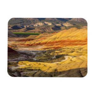 De geschilderde heuvels in de John Day Fossil Beds Magneet