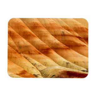 De geschilderde heuvels in de John Day Fossil Beds Magneet