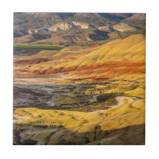 De geschilderde heuvels in de John Day Fossil Beds Tegeltje (Voorkant)