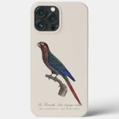 De geschilderde parkiet, Pyrrhura picta Case-Mate iPhone Case (Achterkant)