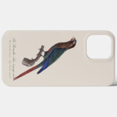 De geschilderde parkiet, Pyrrhura picta Case-Mate iPhone Case (Achterkant (horizontaal))
