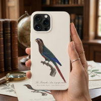 De geschilderde parkiet, Pyrrhura picta