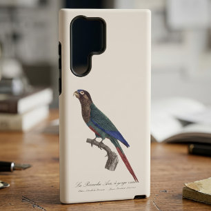 De geschilderde parkiet, Pyrrhura picta Samsung Galaxy Hoesje