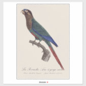 De geschilderde parkiet, Pyrrhura picta Sticker (Vel)