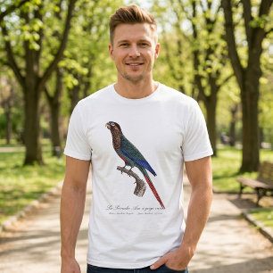 De geschilderde parkiet, Pyrrhura picta T-shirt