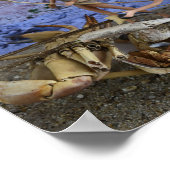 De geslaagde jacht. poster (Hoek)