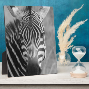 De gestreepte Leuke Afrikaanse Elegante Strepen va Fotoplaat