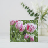 De Gestreepte Tulpen van de pepermunt Briefkaart (Staand voorkant)
