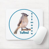 De getitreerde muis muismat (Met muis)
