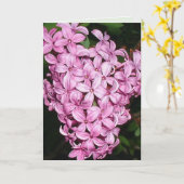 De geur van lilacs kaart (Gele Bloem)