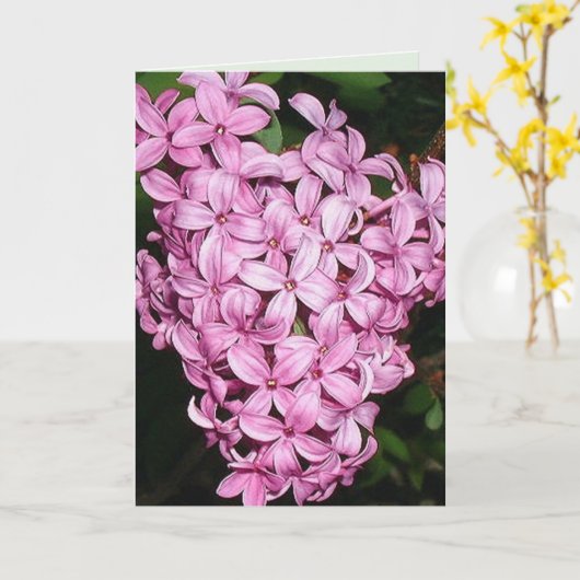De geur van lilacs kaart (Gele Bloem)