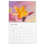 De geur van Plumeria Agenda Kalender (Mar 2026)