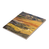 De geverfde rillingen in de koude mond 3 tegeltje (Zijkant)