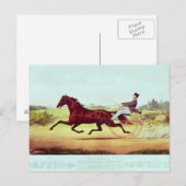 De gevierde paarden, George M. Patchen Briefkaart (Voorkant / Achterkant)