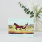 De gevierde paarden, George M. Patchen Briefkaart (Staand voorkant)