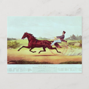 De gevierde paarden, George M. Patchen Briefkaart