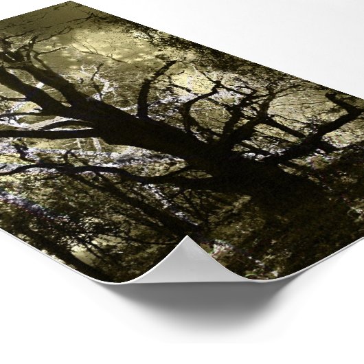 De gevlekte boom poster (Hoek)