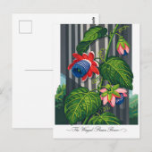 De gevleugelde passiebloem Botanische Kunst Briefkaart (Voorkant / Achterkant)