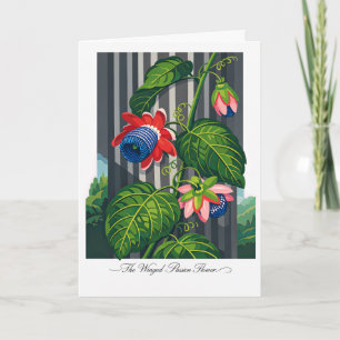 De gevleugelde passiebloem botanische kunst kaart