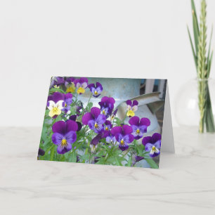 De gewelddadige kaart van LeAnn