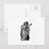 De geweldige meneer, Z Briefkaart (Voorkant / Achterkant)