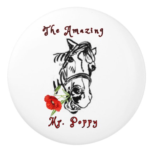 DE GEWELDIGE MR POPPY Ceramic Pull Keramische Knop (Voorkant)