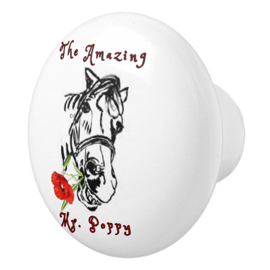 DE GEWELDIGE MR POPPY Ceramic Pull Keramische Knop (Rechts)