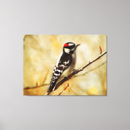 De geweven Donsachtige Specht Uitgerekte Druk van Canvas Afdruk