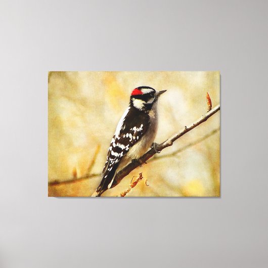 De geweven Donsachtige Specht Uitgerekte Druk van Canvas Afdruk (Voorkant)
