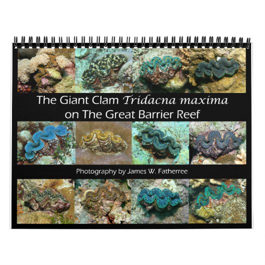 De Giant Clam Tridacna maxima van J.W. Fatherree. Kalender (Hoes)