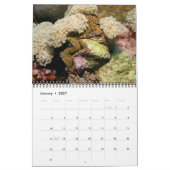 De Giant Clam Tridacna maxima van J.W. Fatherree. Kalender (Jan 2027)