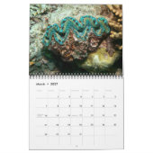 De Giant Clam Tridacna maxima van J.W. Fatherree. Kalender (Mar 2027)