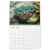 De Giant Clam Tridacna maxima van J.W. Fatherree. Kalender (Mar 2026)