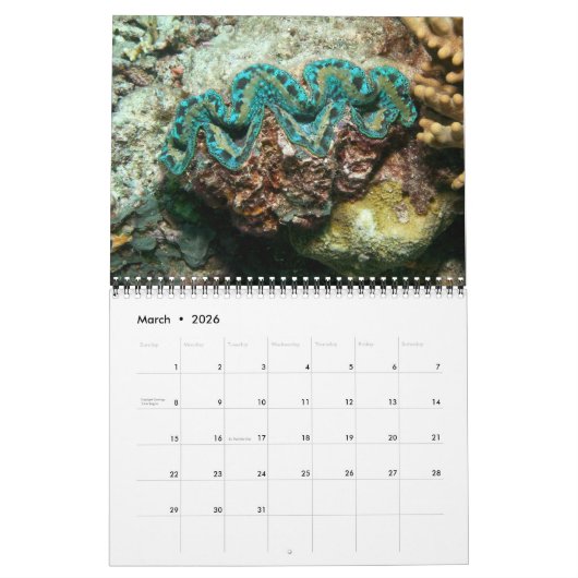 De Giant Clam Tridacna maxima van J.W. Fatherree. Kalender (Mar 2026)
