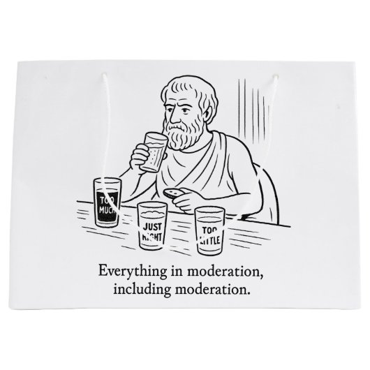 De Gids van Aristoteles voor Matiging Groot Cadeauzakje (Voorkant)