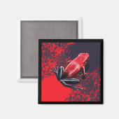 De gifmagneet Pumilio Magneet (Voorkant / Achterkant)