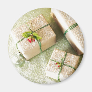 De Gift van de vakantie in de Sneeuw Magneet