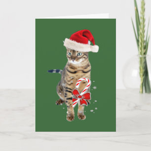 De giften van de Kerstman van Bengalen Feestdagen Kaart
