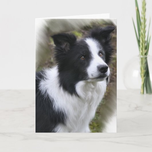 De Giften van de Kunst van border collie Kaart (Voorkant)