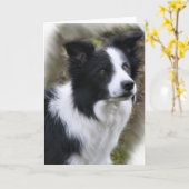 De Giften van de Kunst van border collie Kaart (Gele Bloem)