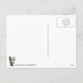 De Giften van de Kunst van de Stiletto en van de Feestdagenkaart (Achterkant)