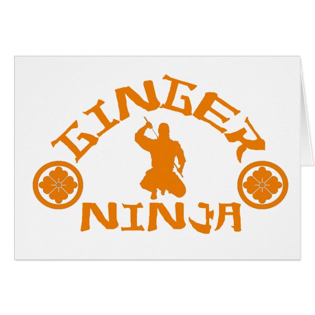 De Ginger Ninja (Voorkant Horizontaal)