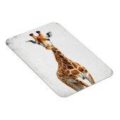 De giraf magneet (Rechterzijde)