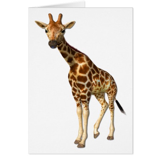 De Giraffe (Voorkant)