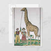 De Giraffe die aan Koning van Pasja van Briefkaart (Voorkant / Achterkant)