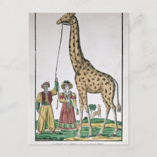 De Giraffe die aan Koning van Pasja van Briefkaart (Voorkant)