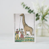 De Giraffe die aan Koning van Pasja van Briefkaart (Staand voorkant)