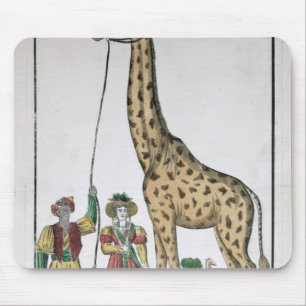 De Giraffe die aan Koning wordt aangeboden uit Pas Muismat